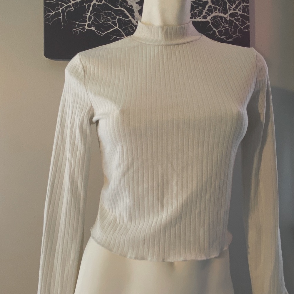 Cropped turtleneck long sleeve